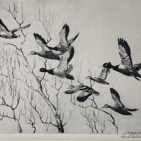 Robert E Bishop Through The Willows Etching 1936 Framed Vintage Wildlife Print - Picture 11 of 14